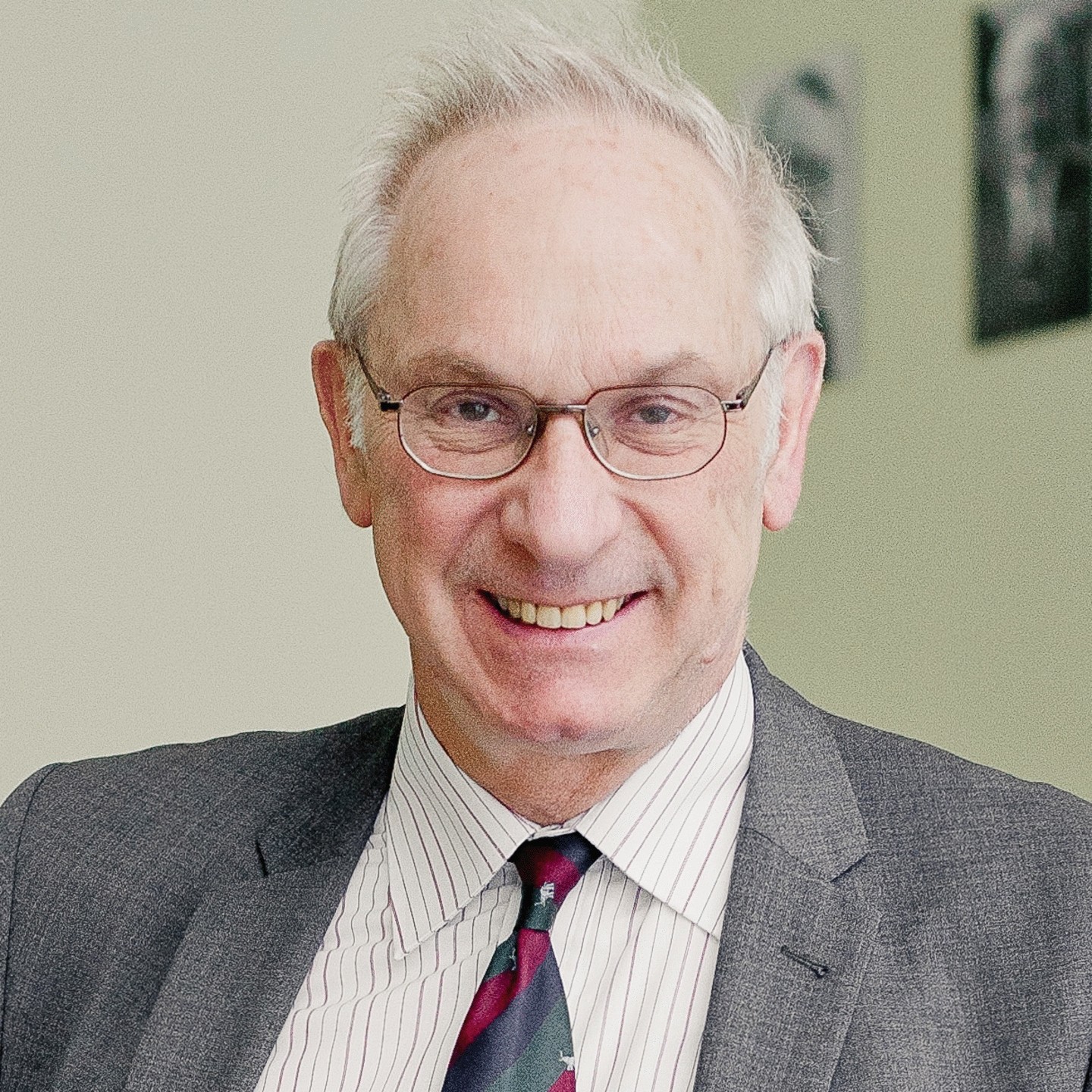 Prof. Dr. Wolfgang Wessels - Network Coordinator